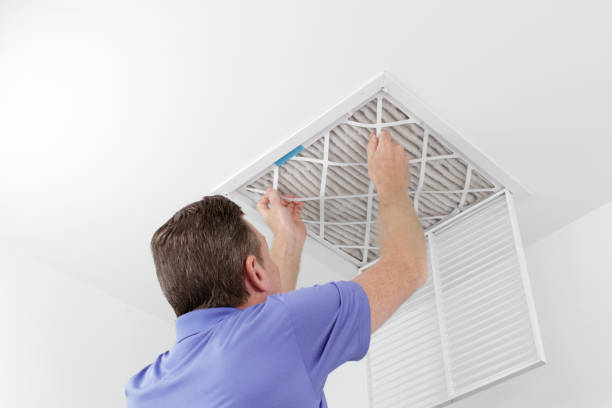 Air Duct Mold Removal in Rossmoor, CA